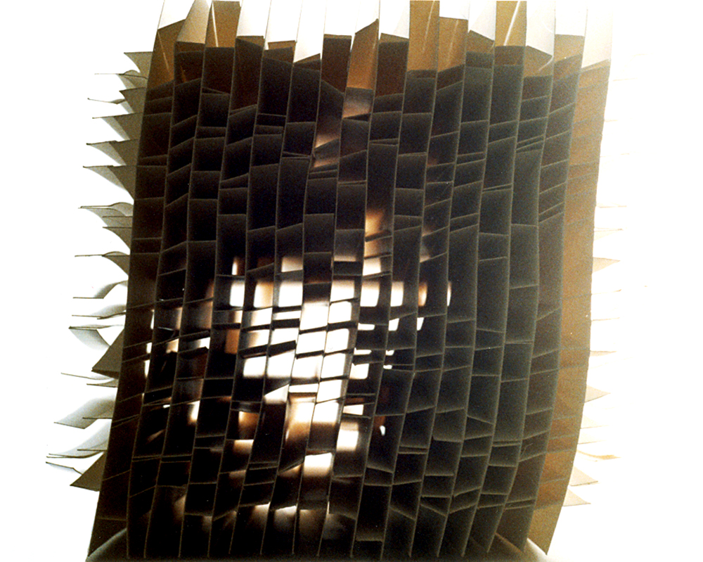 papier structure kleszcz